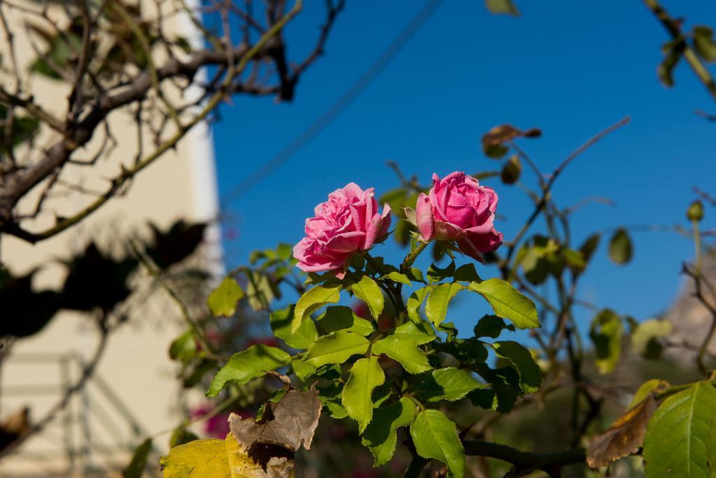 דירות קאטליוס Maria'S House מראה חיצוני תמונה